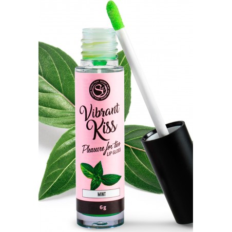 Gloss Vibrant Kiss Menthe