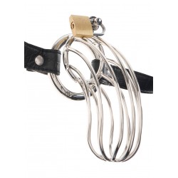 Cette cage de chasteté pour...