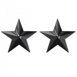 Paire de nipples étoile...