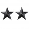 Paire de nipples étoile métal couleur noir