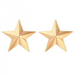 Paire de nipples étoile...