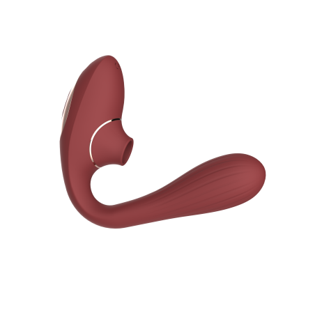 2 EN 1 stimulateur de clitoris par succion et vibromasseur point G USB bordeau flexible, waterproof