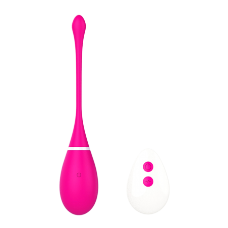 Œuf vibrant télécommandé USB