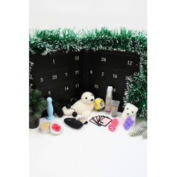 CALENDRIER 24 SURPRISES...