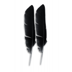 2 plumes noires pour caresse