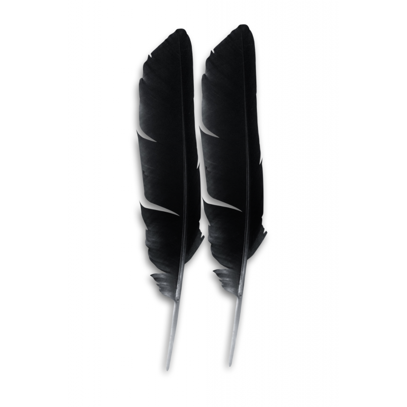 2 plumes noires pour caresse