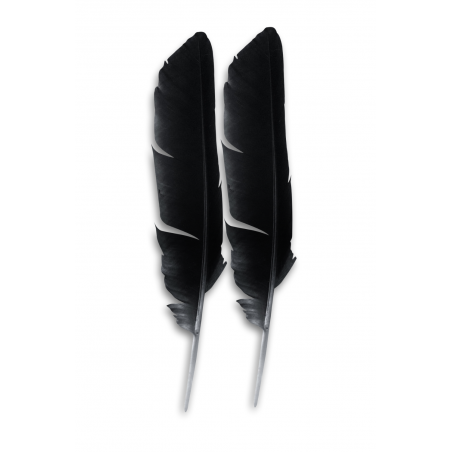 2 plumes noires pour caresse