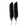 2 plumes noires pour caresse