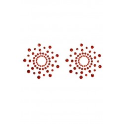 Paire de cache tétons...