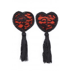 Paire de cache tétons...