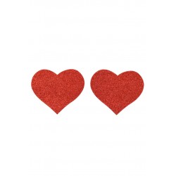 Paire de cache tétons...