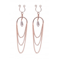 Bijou de sein nipples avec...