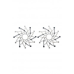 Paire de cache tétons...