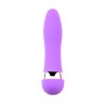 Vibromasseur 11 cm violet