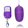 Oeufs vibrants à télécommande 10 modes de vibration -Télécommande sans fil