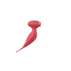 2 en 1 stimulateur clitoris...