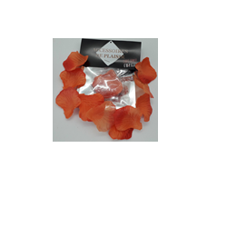 Pack de 100 pétales de rose