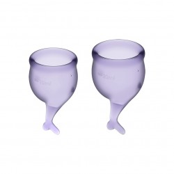 2 coupes menstruelles Lilas...