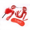 Kit coquin 6 articles (masque pour yeux, plumeau coquin, fouet, baillon pour bouche et 2 menottes